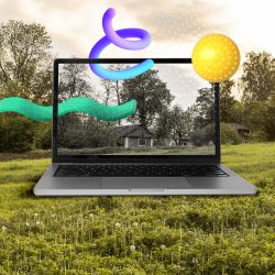 laptop-nature-concept